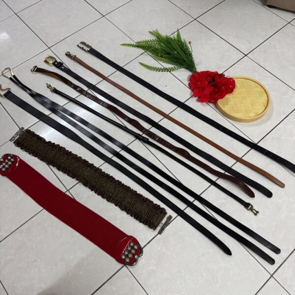 bundle_defect_women_belt__fash_1732609414_840b624b_progressive Random Female Belt Bundle