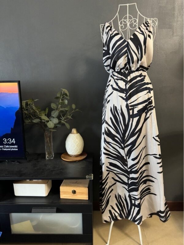 H&M Black & White Sheer Dress